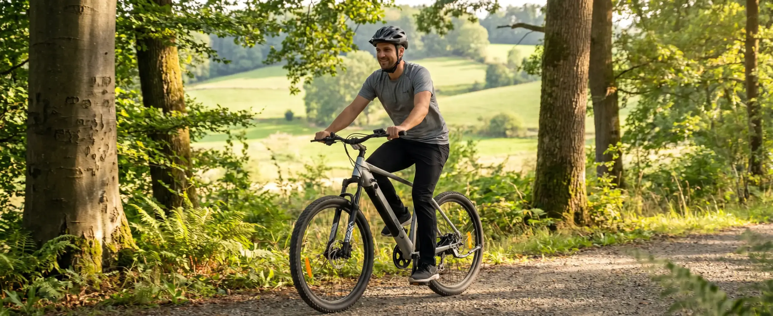 iCycle Denali