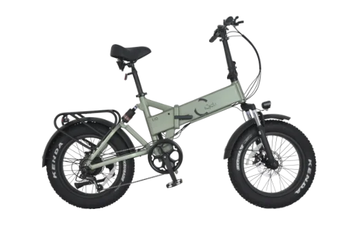 iCycle Leo